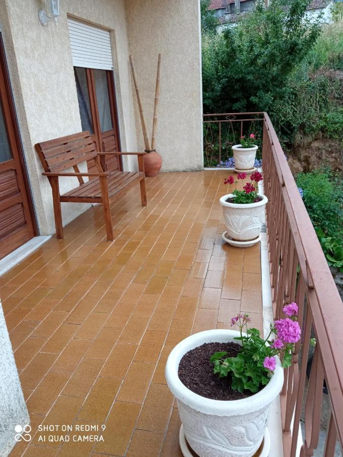 Casa Dos Grilos بيناكوفا المظهر الخارجي الصورة