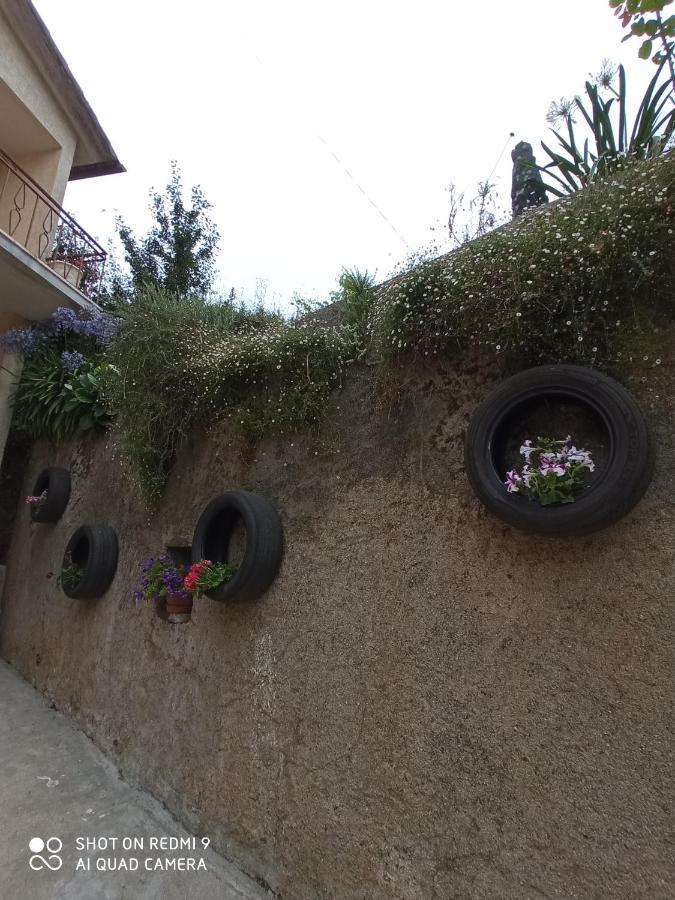 Casa Dos Grilos بيناكوفا المظهر الخارجي الصورة
