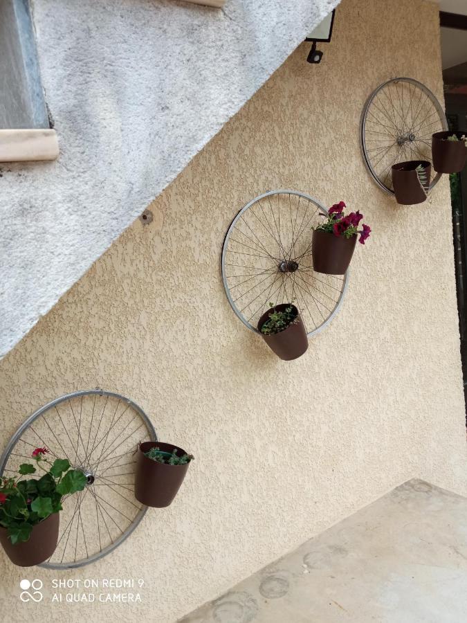 Casa Dos Grilos بيناكوفا المظهر الخارجي الصورة
