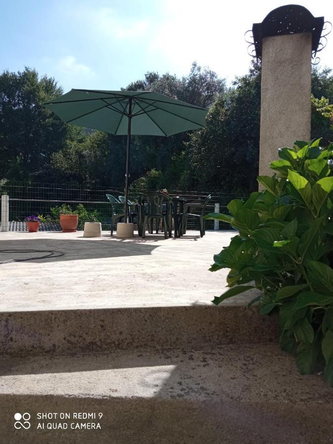 Casa Dos Grilos بيناكوفا المظهر الخارجي الصورة