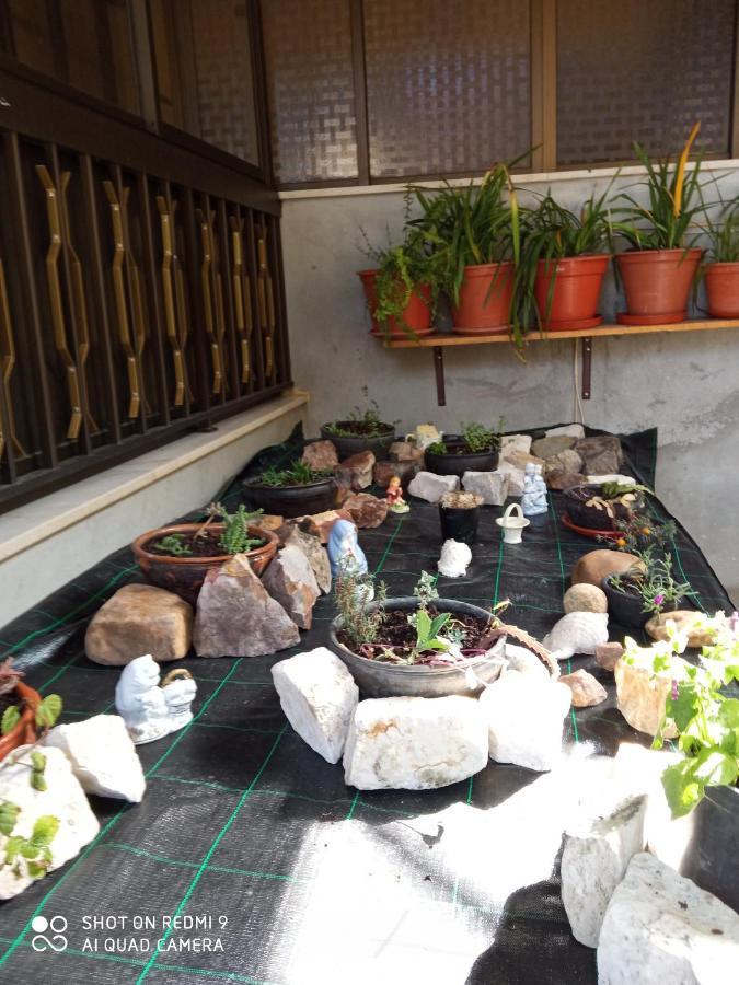 Casa Dos Grilos بيناكوفا المظهر الخارجي الصورة