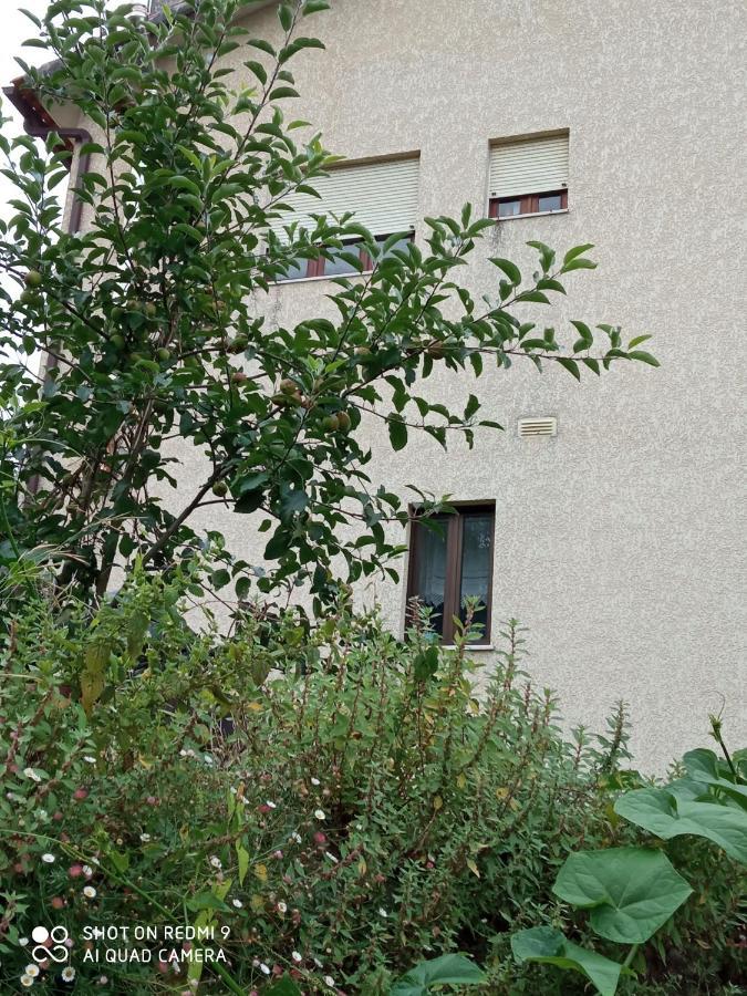 Casa Dos Grilos بيناكوفا المظهر الخارجي الصورة