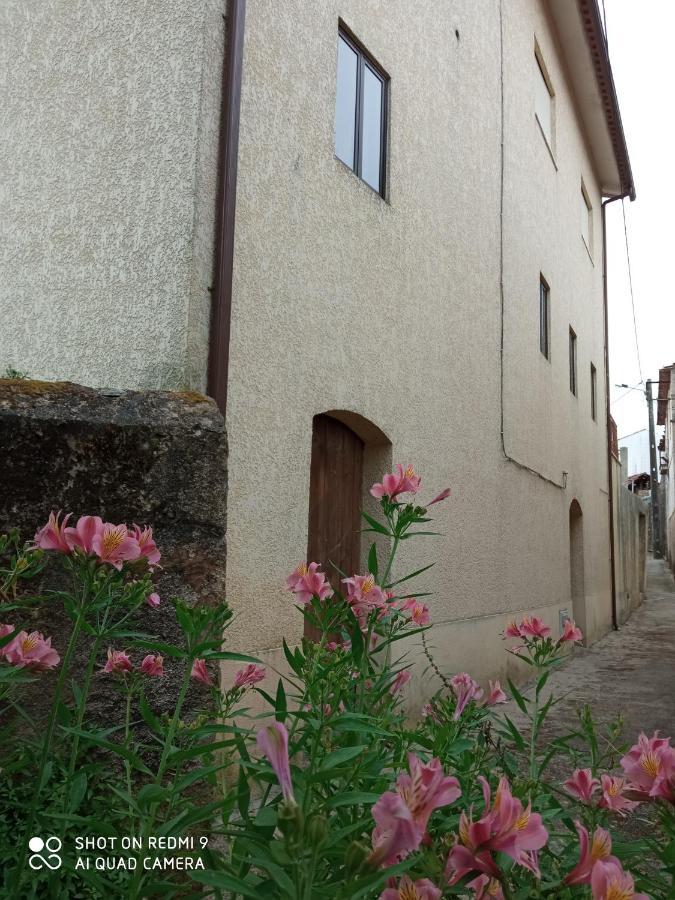 Casa Dos Grilos بيناكوفا المظهر الخارجي الصورة