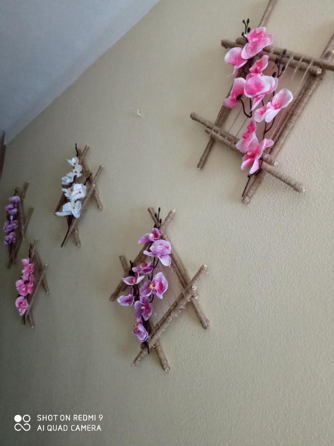 Casa Dos Grilos بيناكوفا المظهر الخارجي الصورة