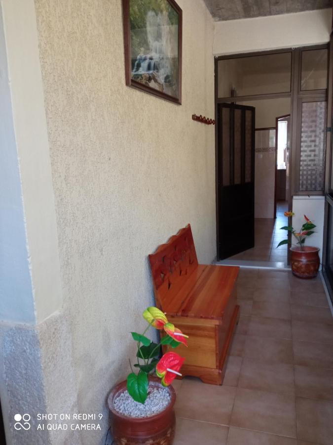 Casa Dos Grilos بيناكوفا المظهر الخارجي الصورة
